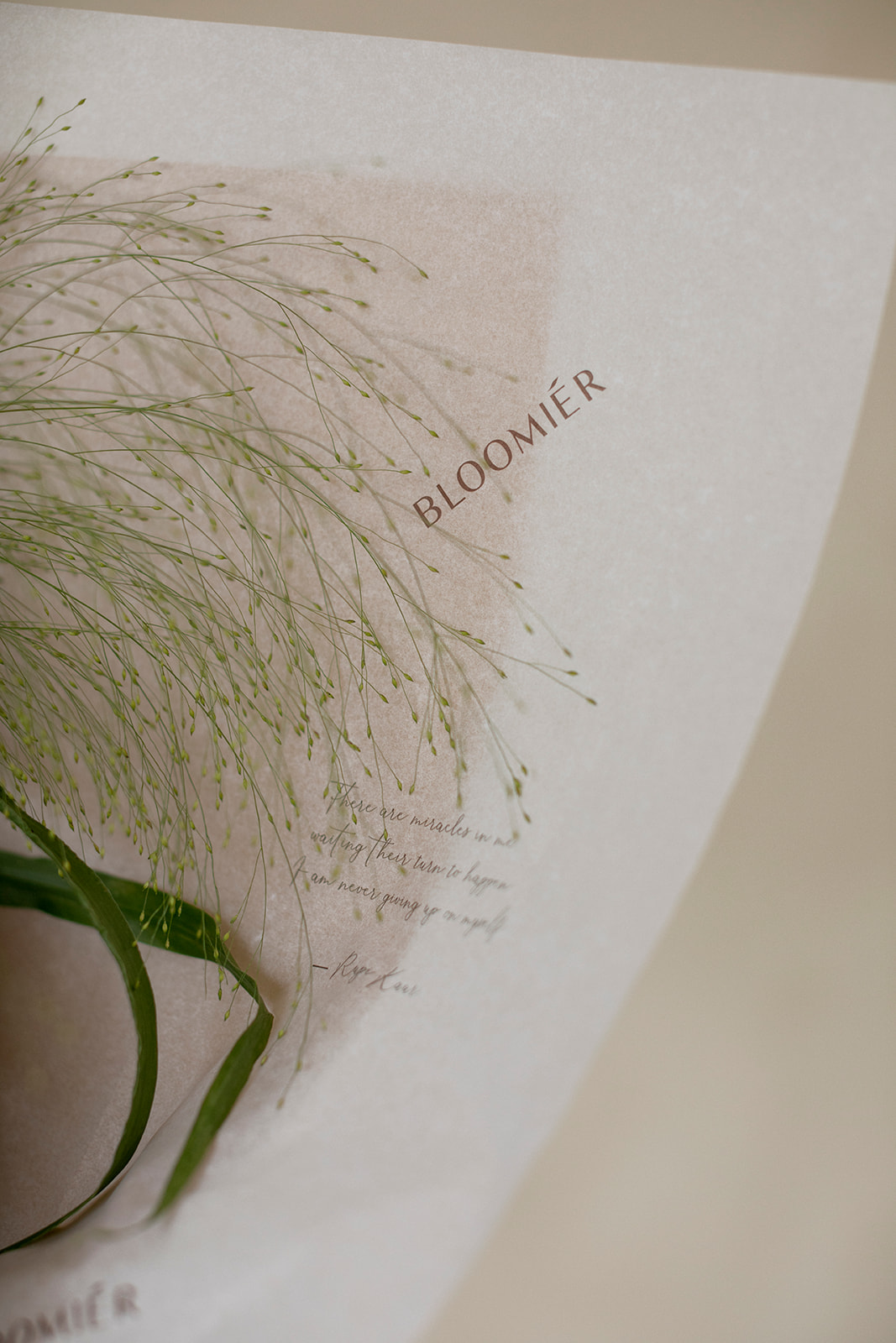 sustainable flowers