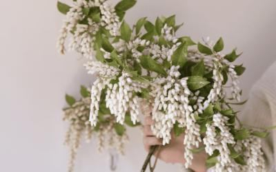 Sustainable Swaps: Floral Edition