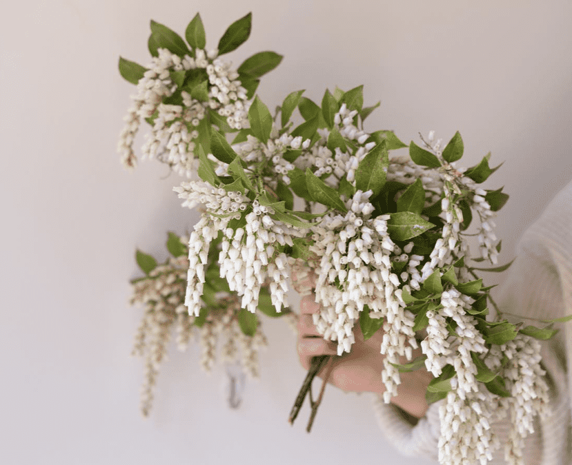 Sustainable Swaps: Floral Edition