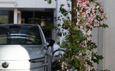 A Flower Story for Volvo
